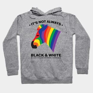 Ehlers Danlos Syndrome It's Not Always Black And White Hoodie